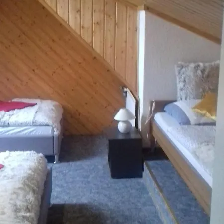 Apartament Langer Altenberg (Osterzgebirge)